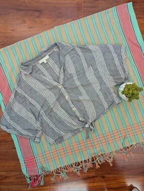 Adyson Parker Striped Crop Top in Gray and White